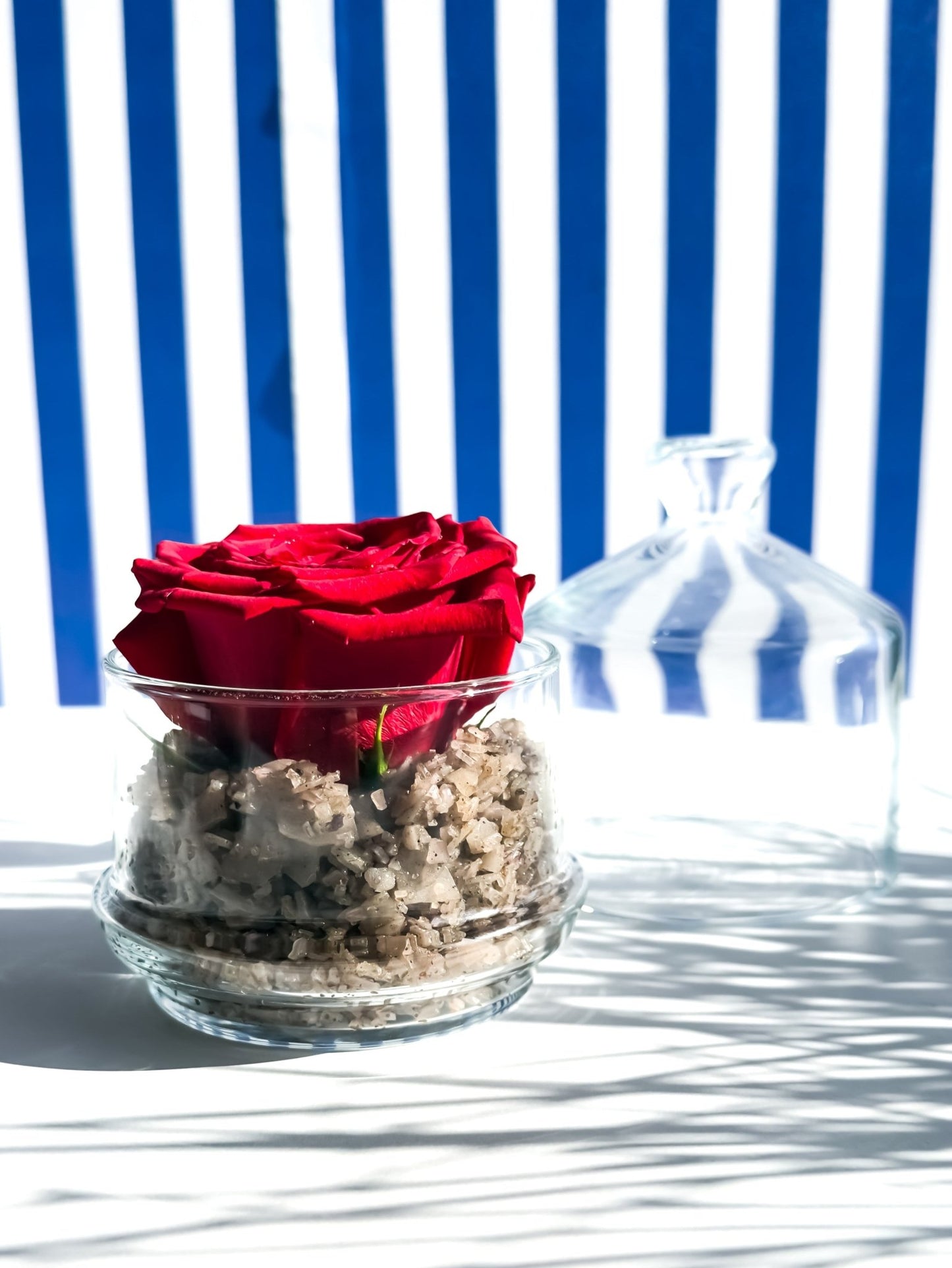 Organic Rose Petal - Sea Salt Glow® | Natural Luxury Bath Soaks